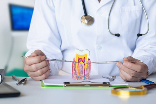 Best Emergency Care for Gum Disease in Kingsland, GA